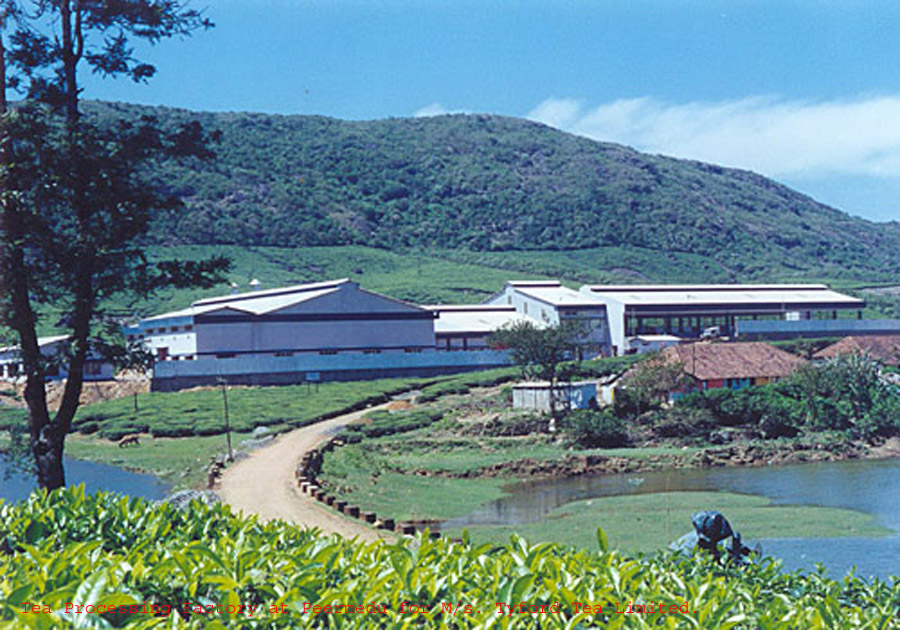 Tea Factory at Peermedu